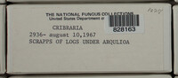 Image Associated With the Occurence